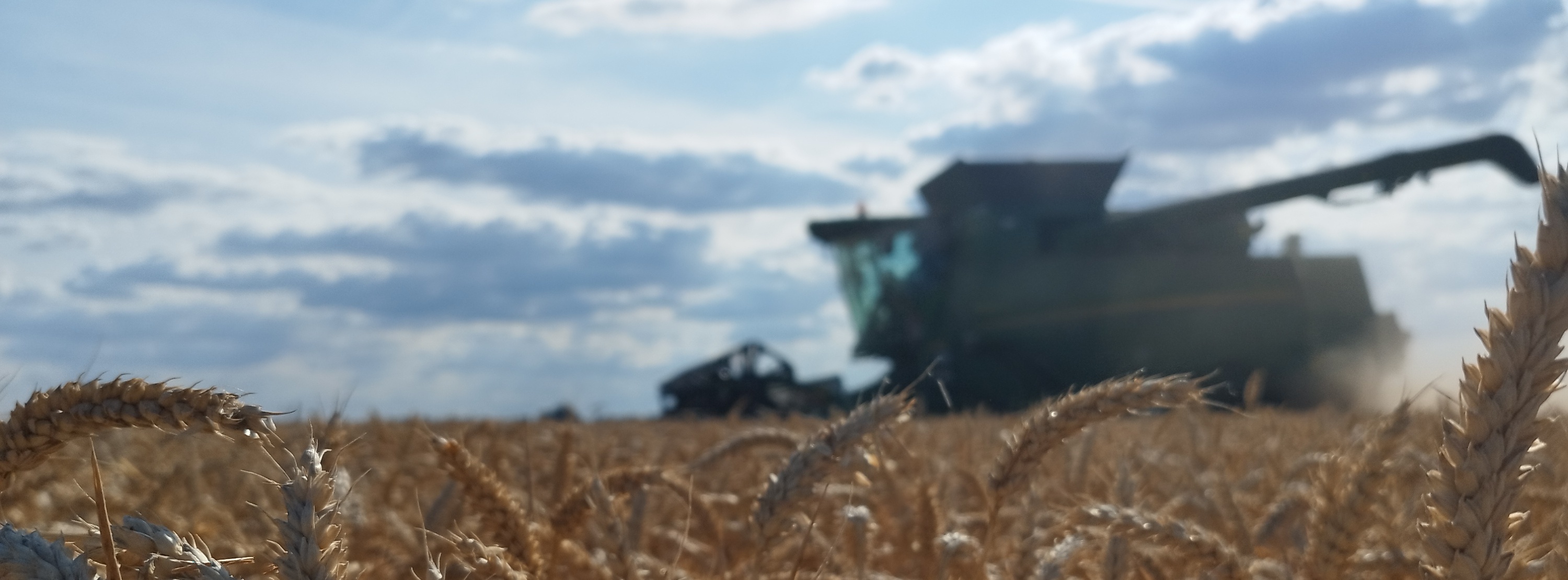 Gentle Farming