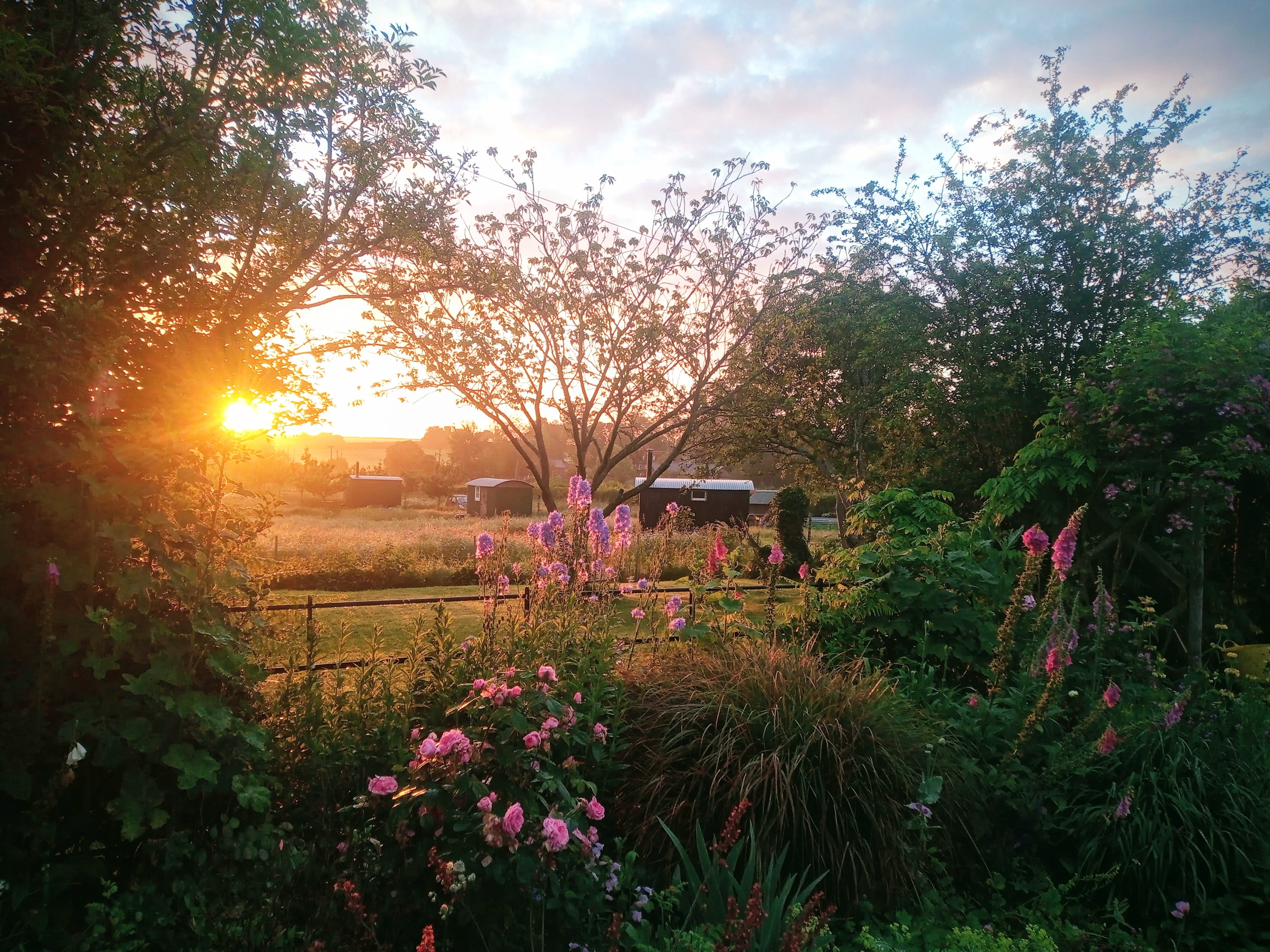 Rustic Stays Shepherds Huts at Myncen Farm