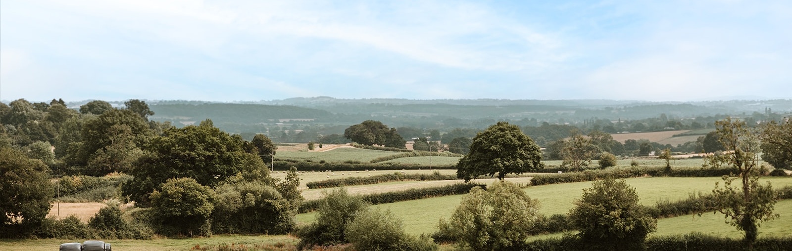 Bircher Farm Stud