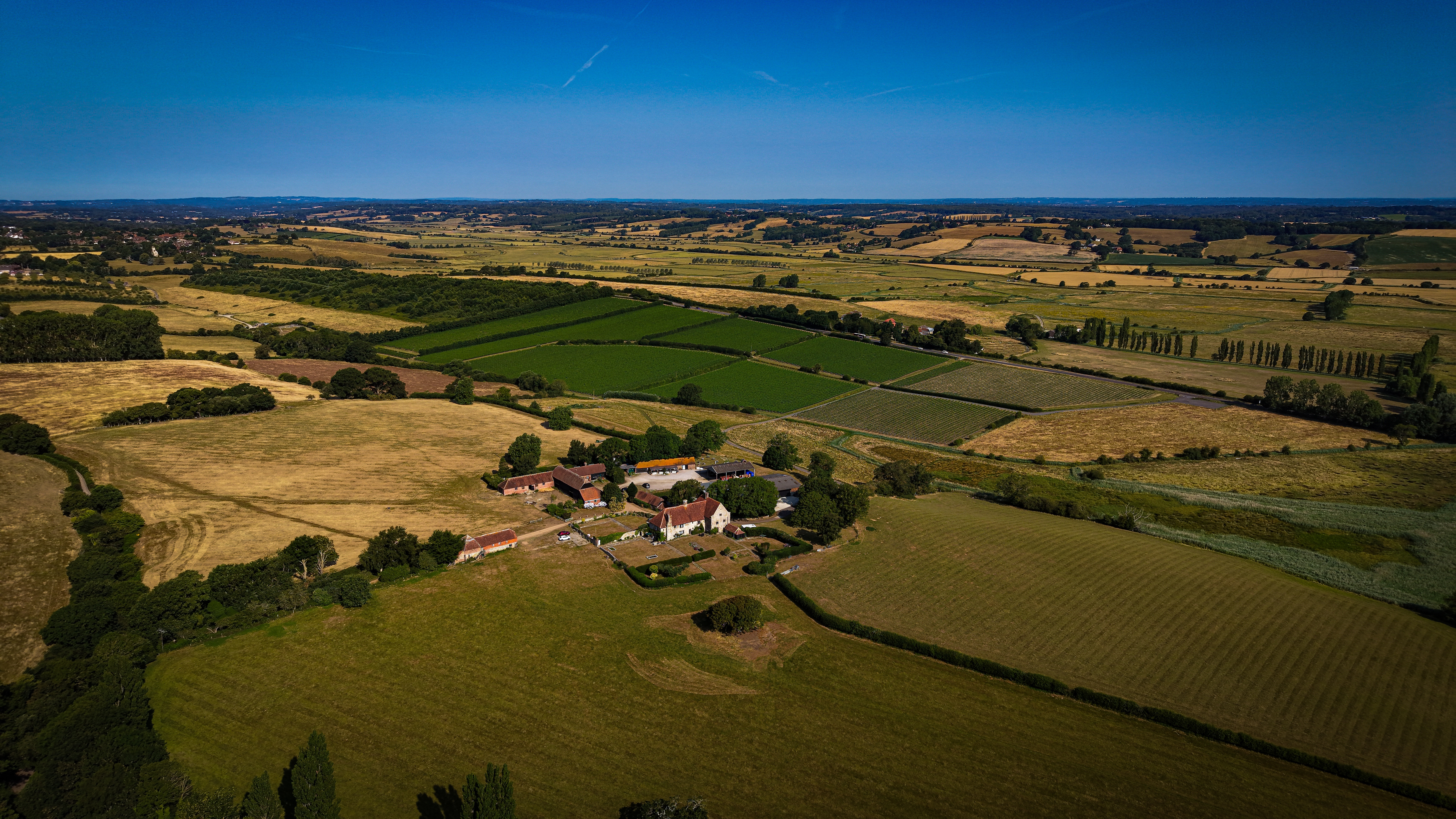 Charles Palmer Vineyards