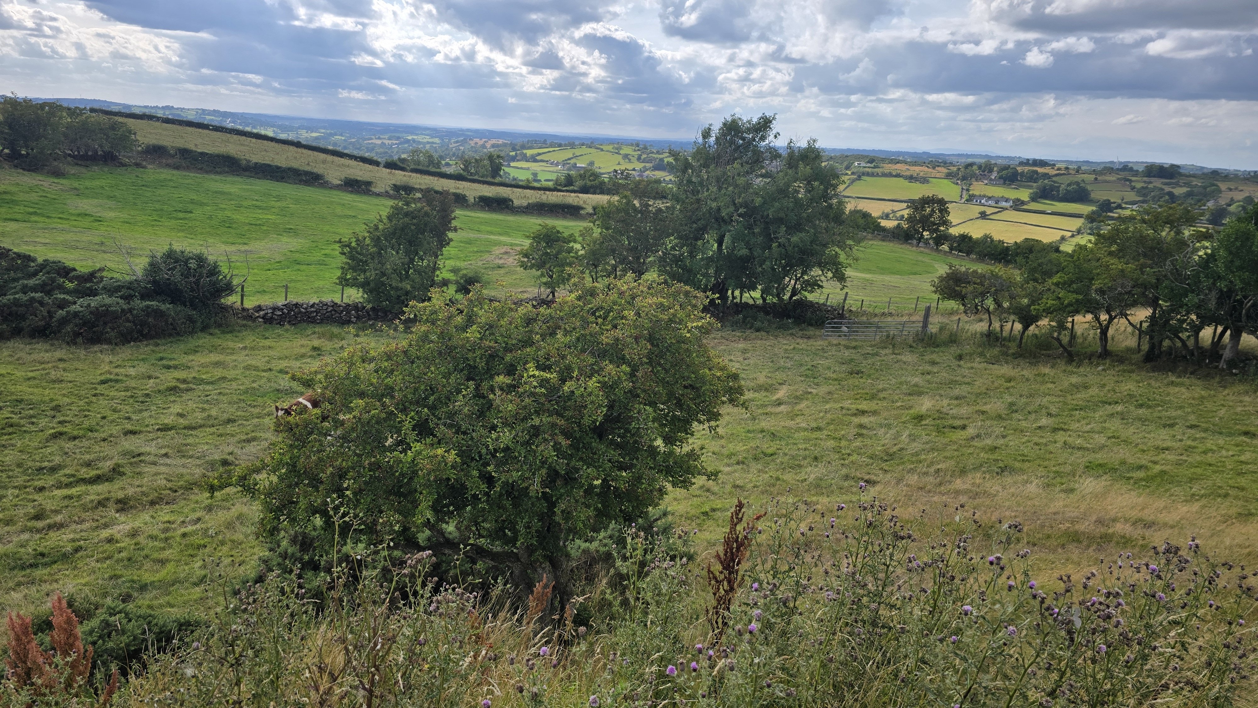 Croobview farm