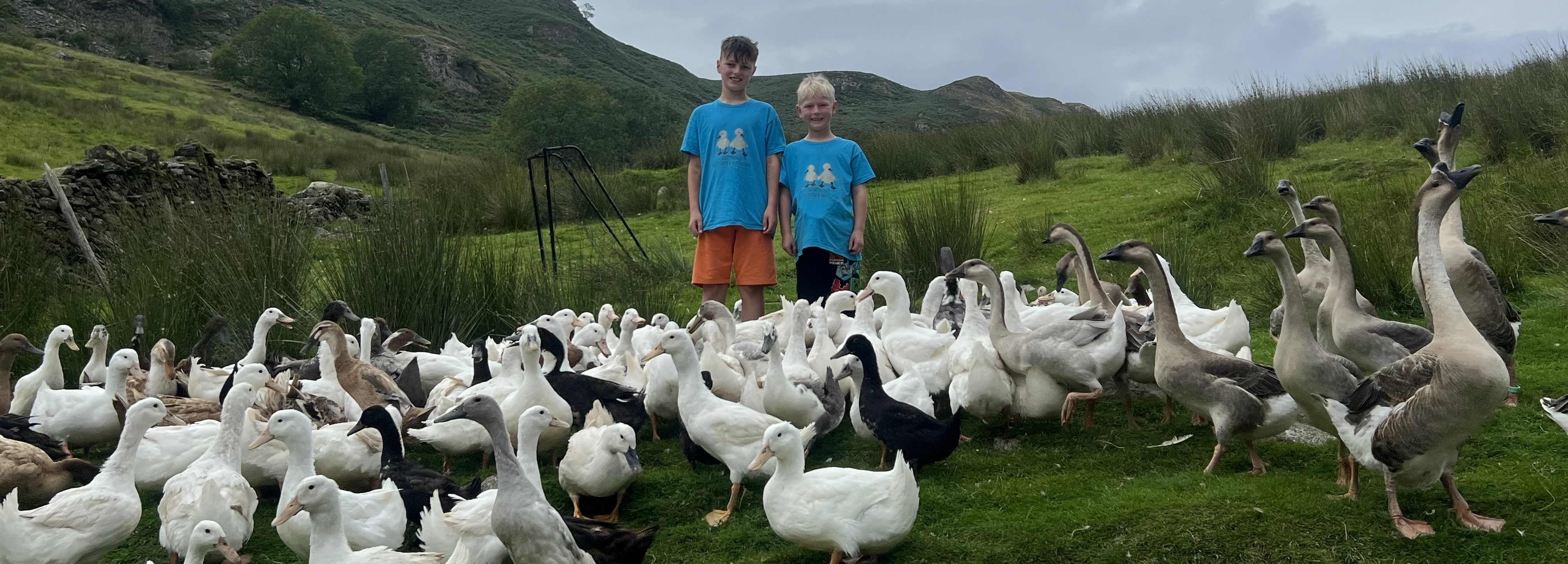 Thrang Crag Farm