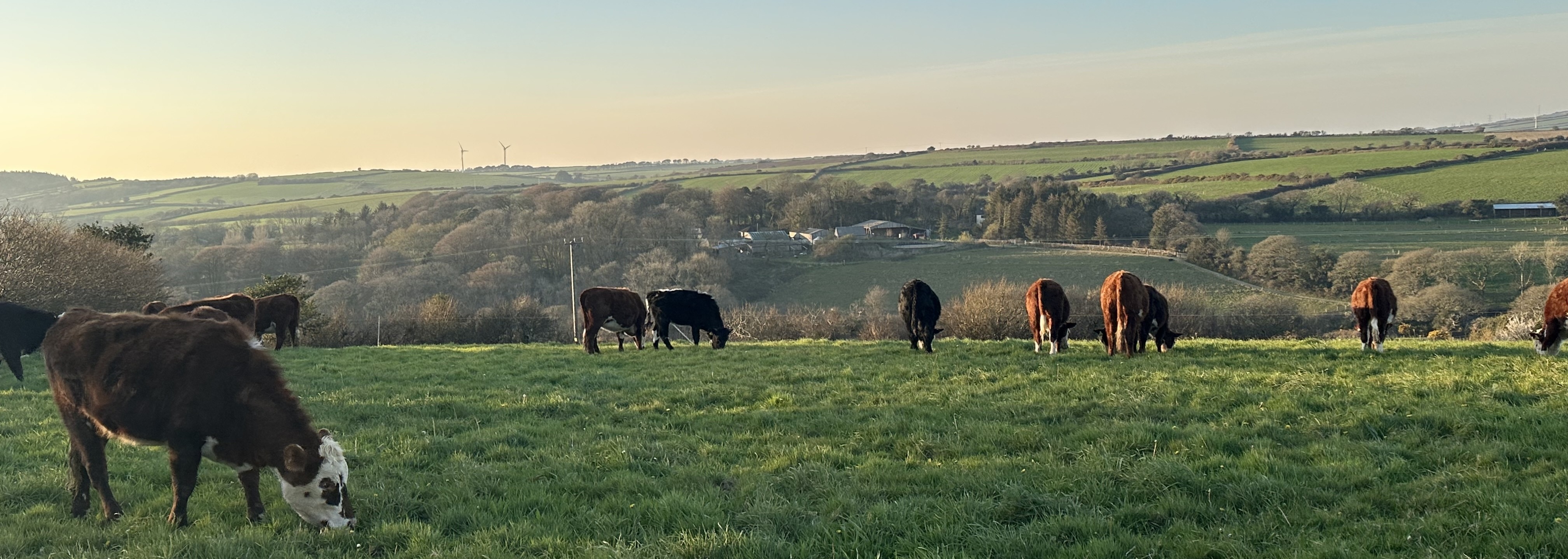 Woodland Valley Farm