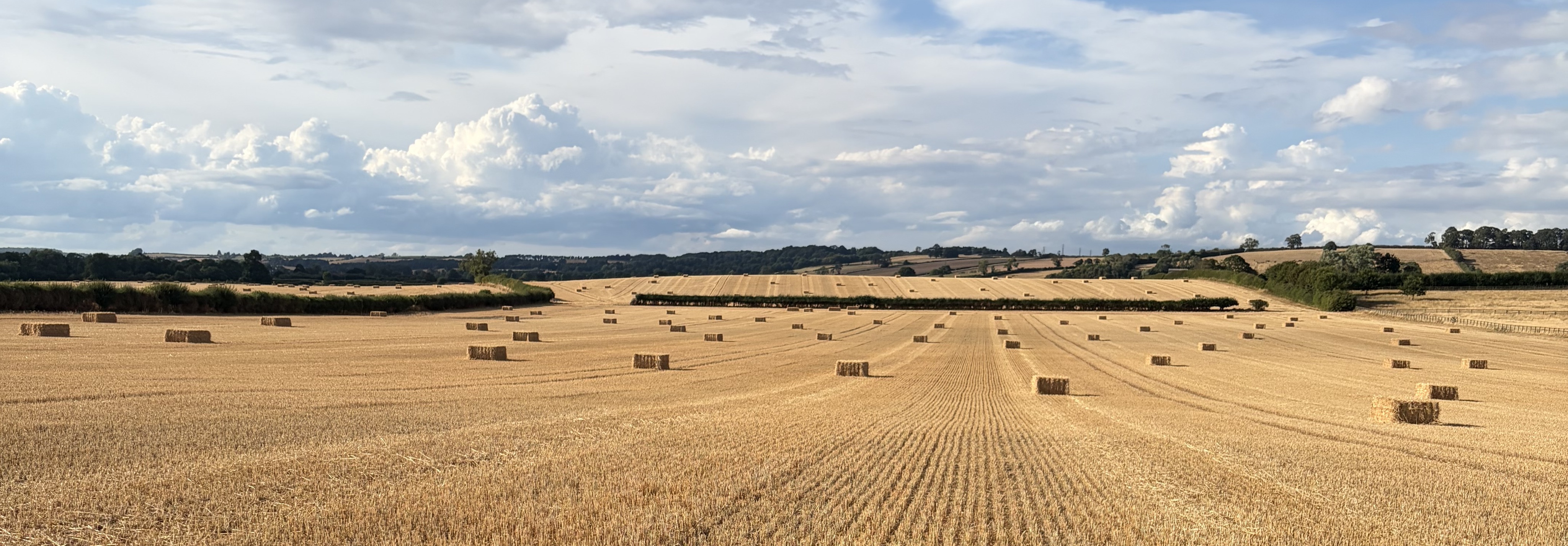 Crambe Grange Farm
