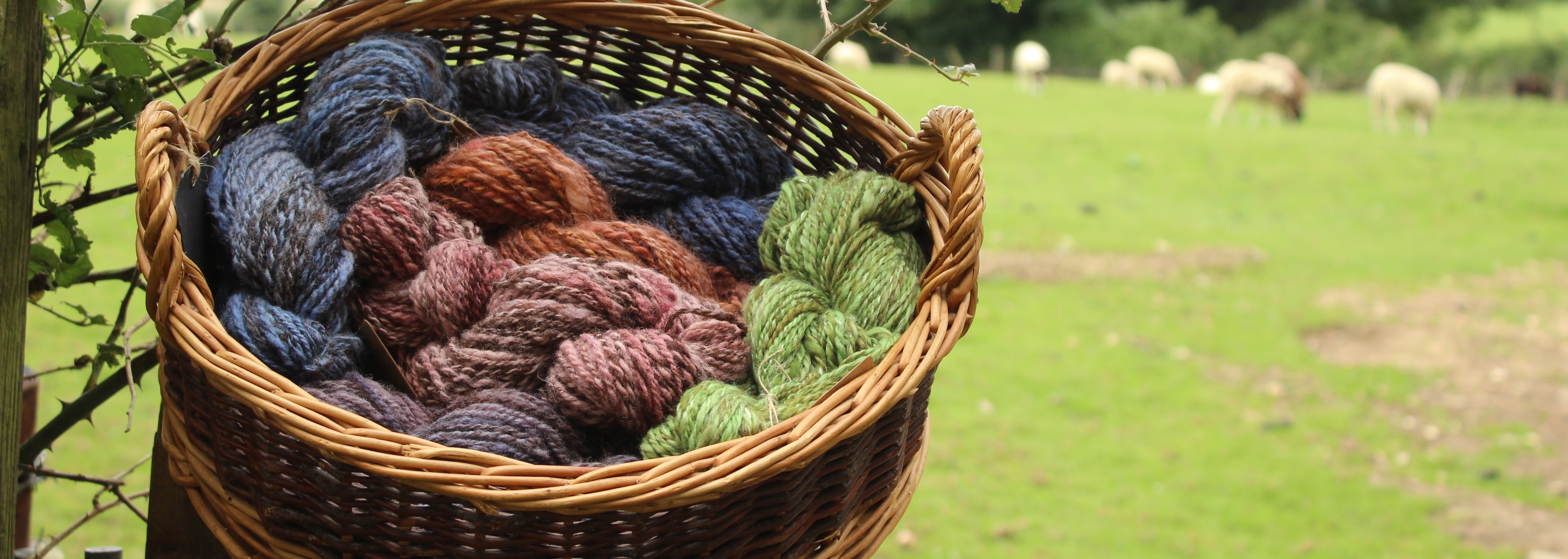 Barn SpunYarn & Farm