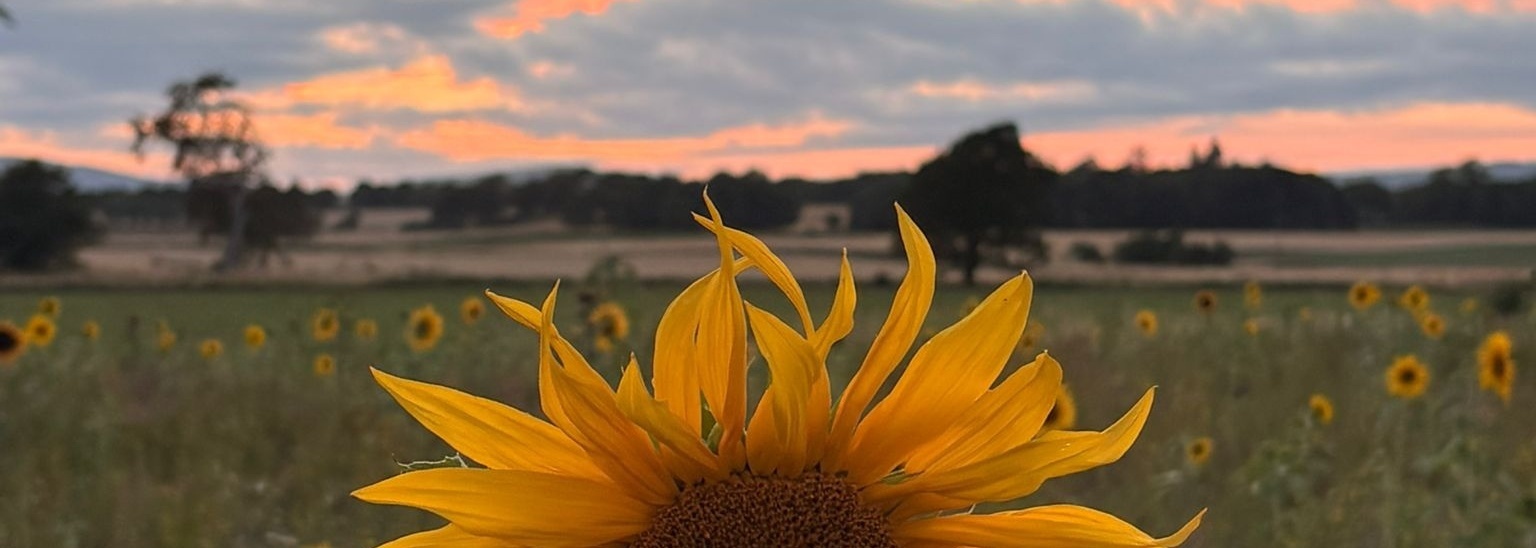 Fruix Farm
