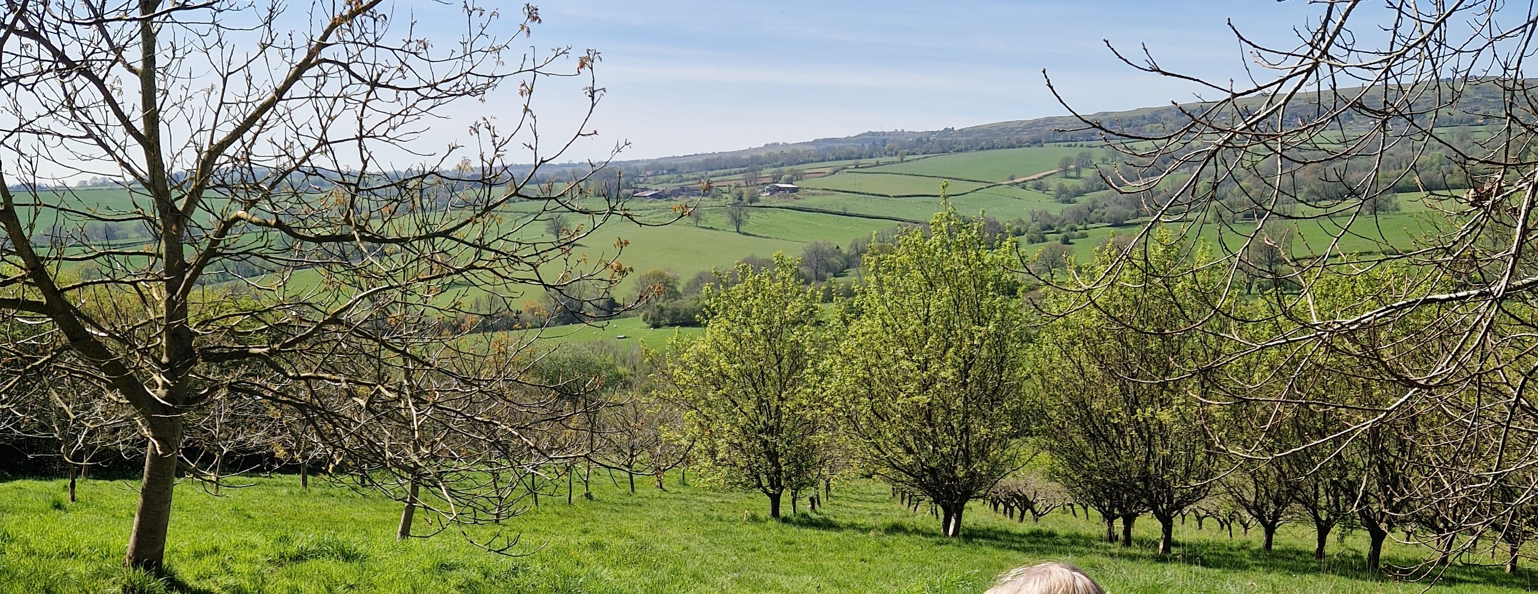 Fruit Farm