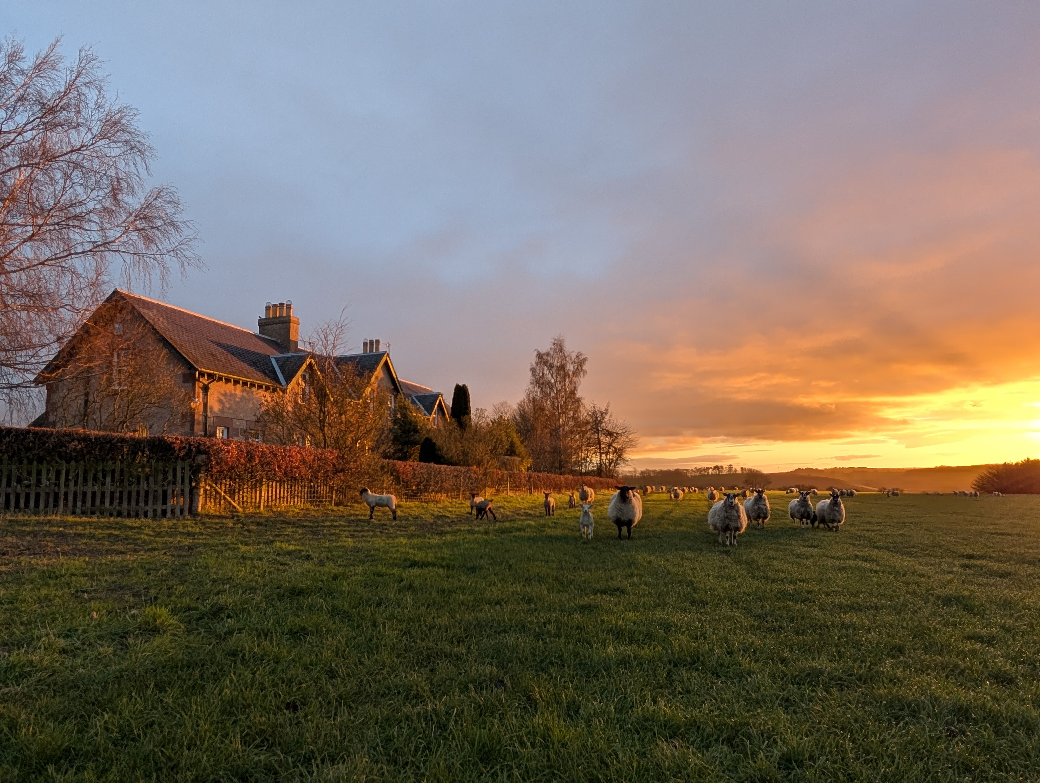 Hendersyde Farm