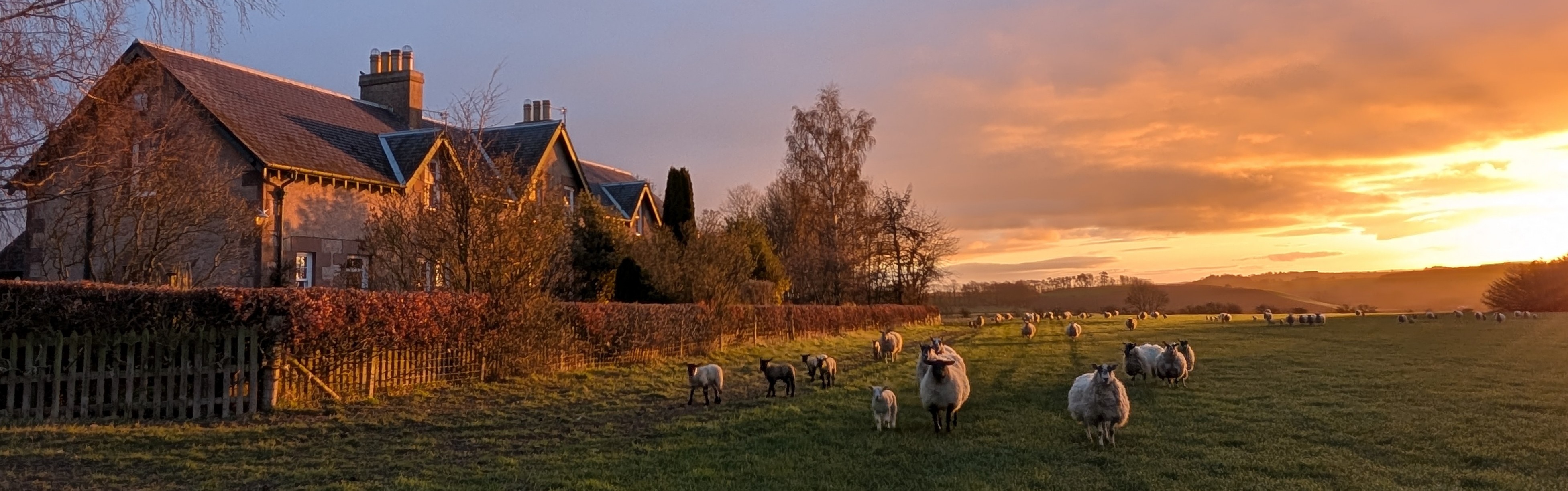 Hendersyde Farm