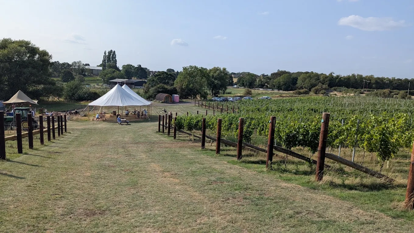 Mallard Point Vineyard & Distillery