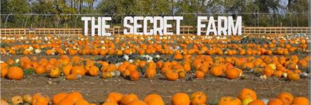 The Secret Farm