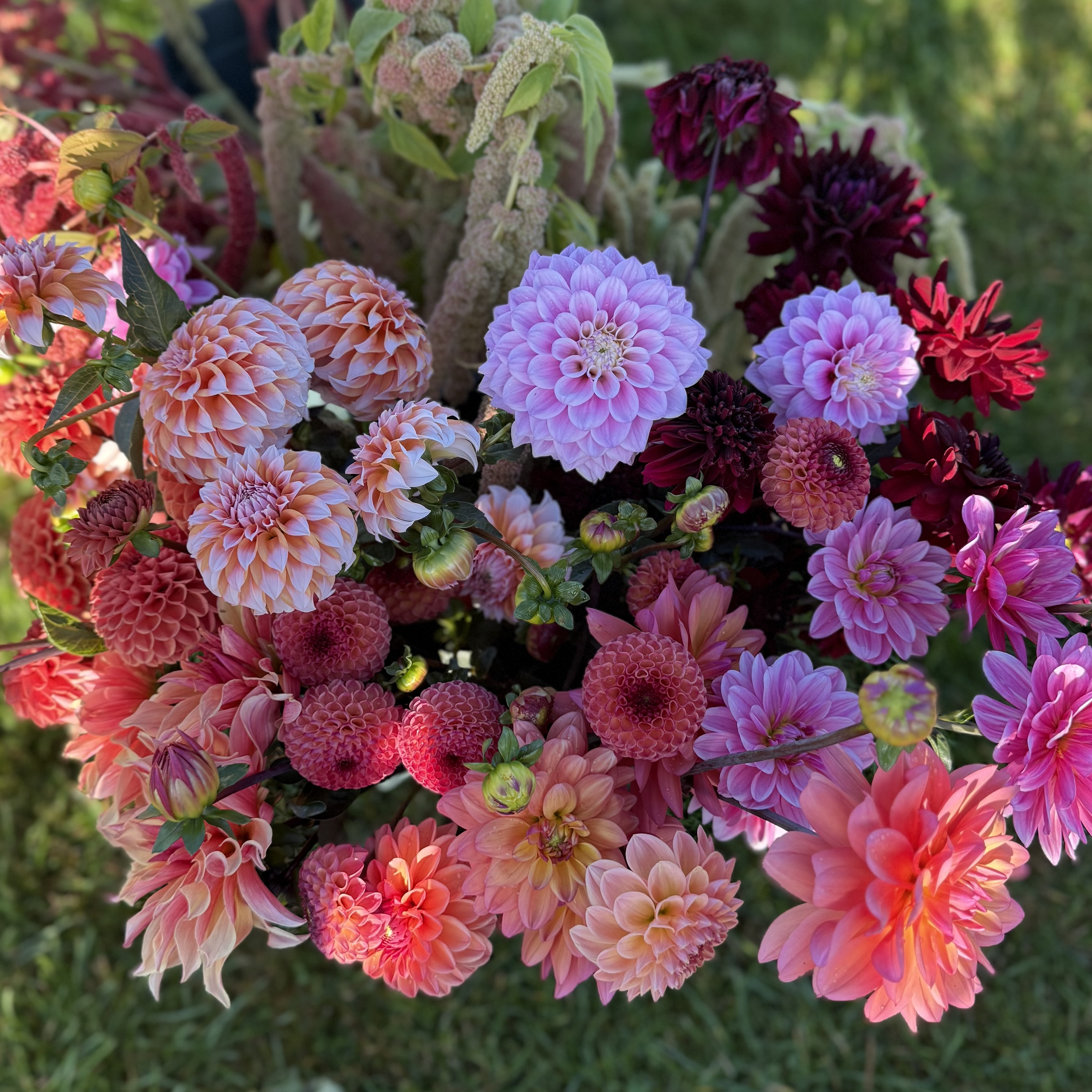 Grove & Green Flower Farm