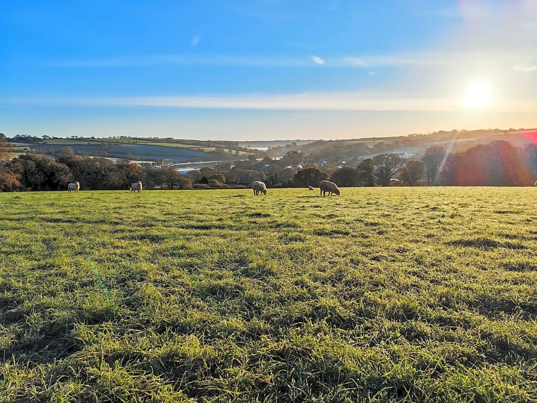 Tregoweth Farm Pop Up Campsite