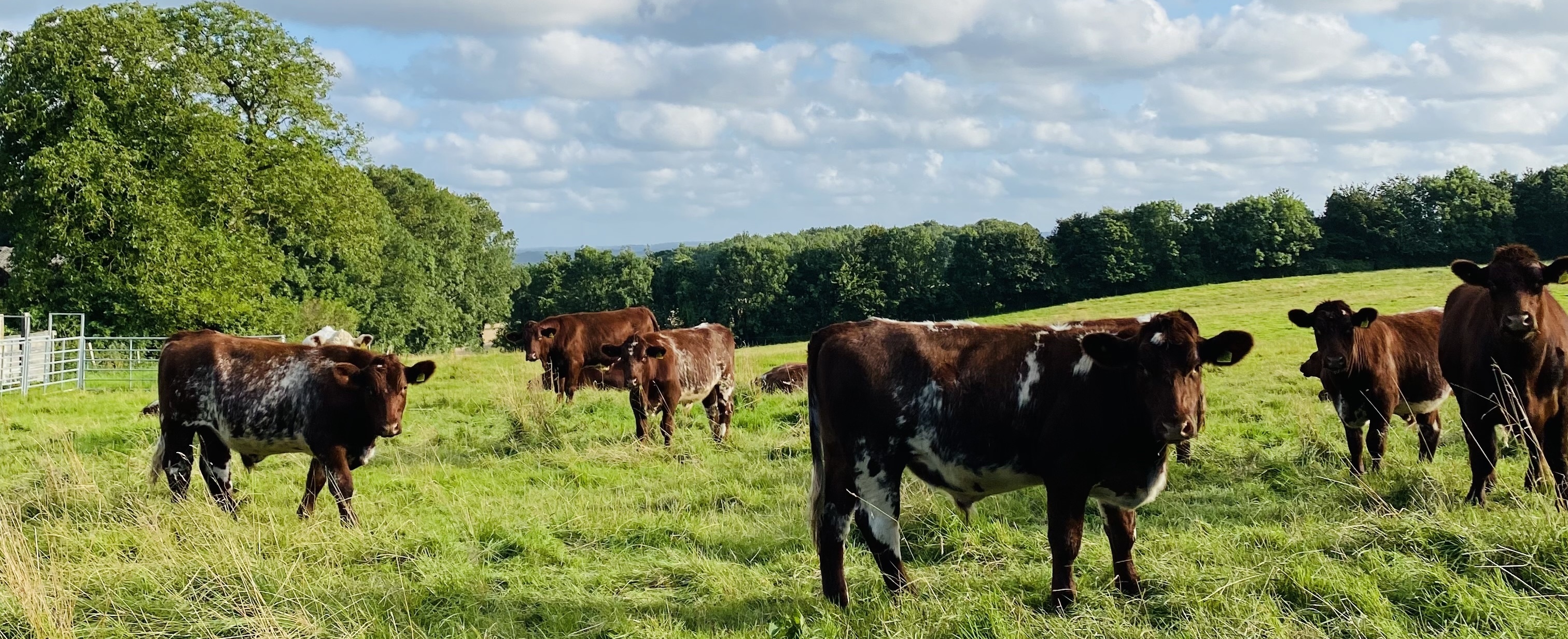 Gambledown Farm