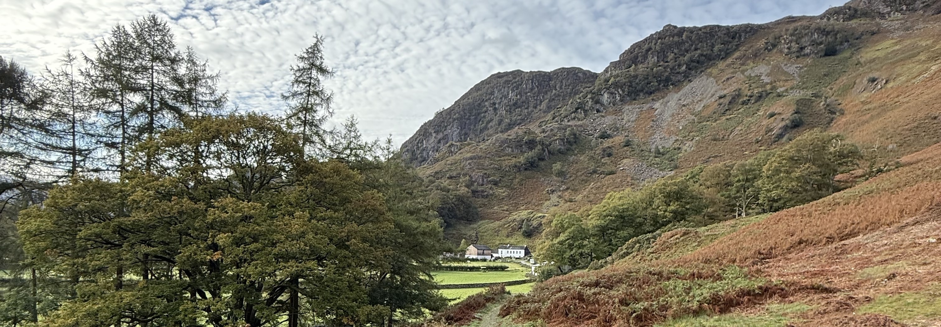 Hollows Farm