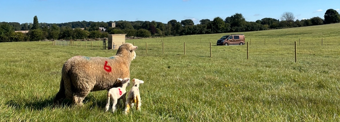 Manor Organic Farm