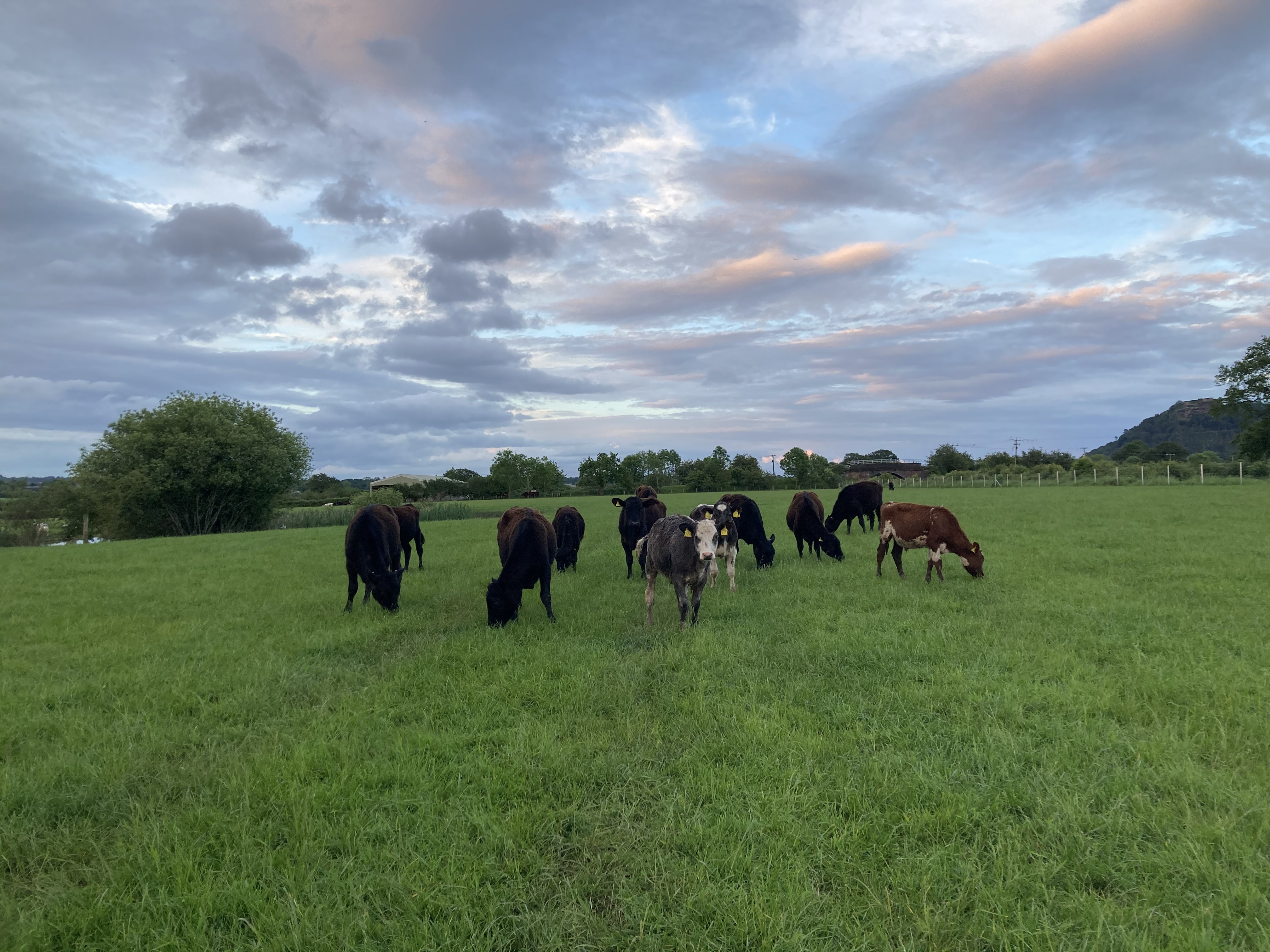 Brockhole farm