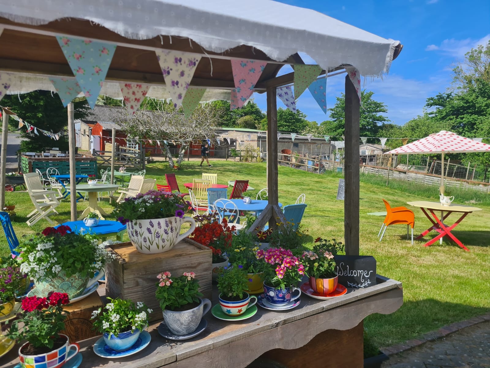 Blagdon Fruit Farm