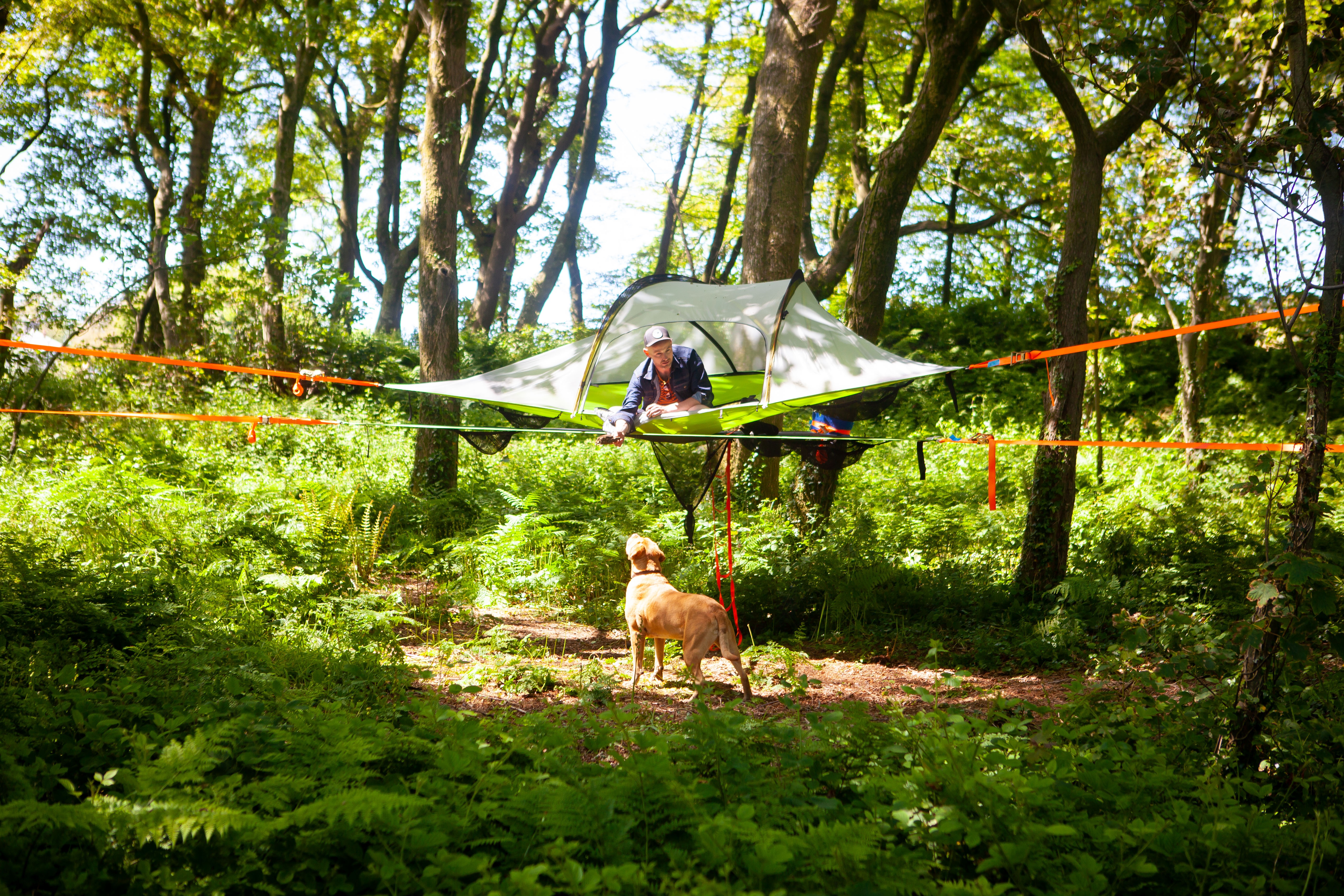 Kite View Farm & Camping