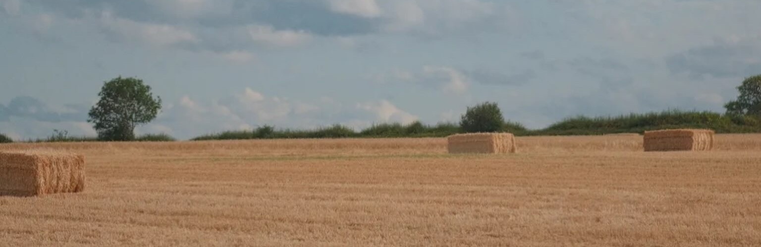 The Pop Up Farm