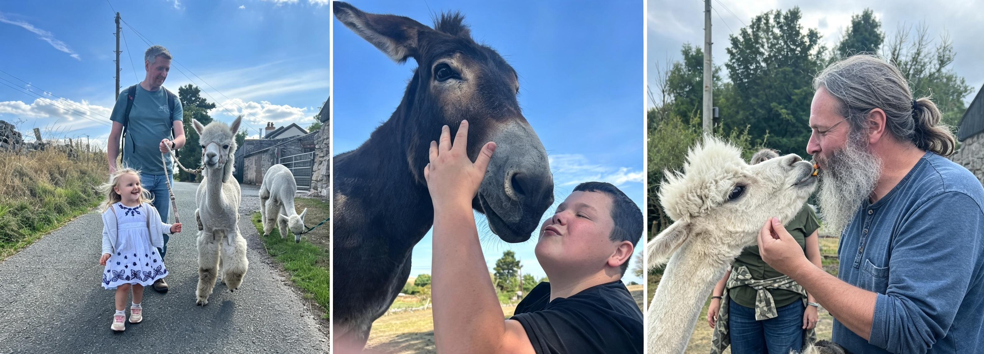 Woolly Experiences Therapy Farm