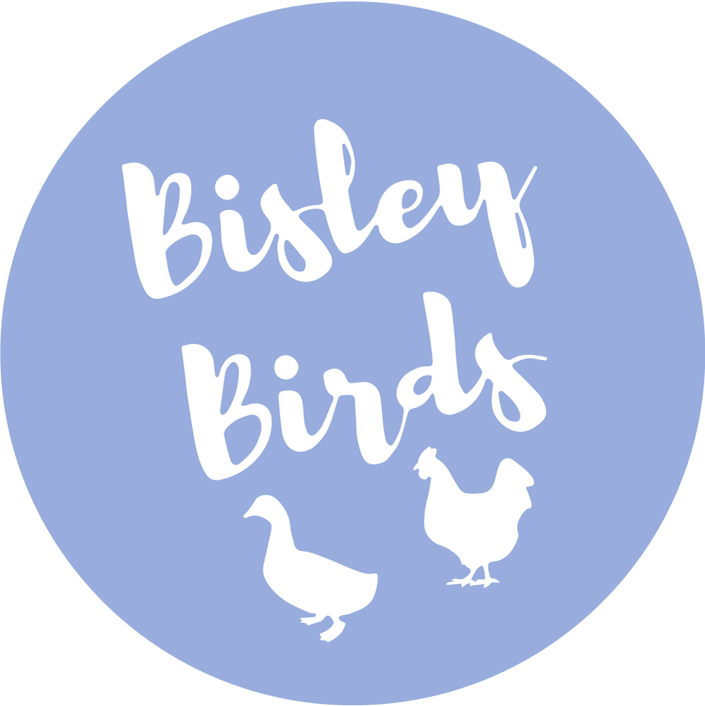 Bisley Birds