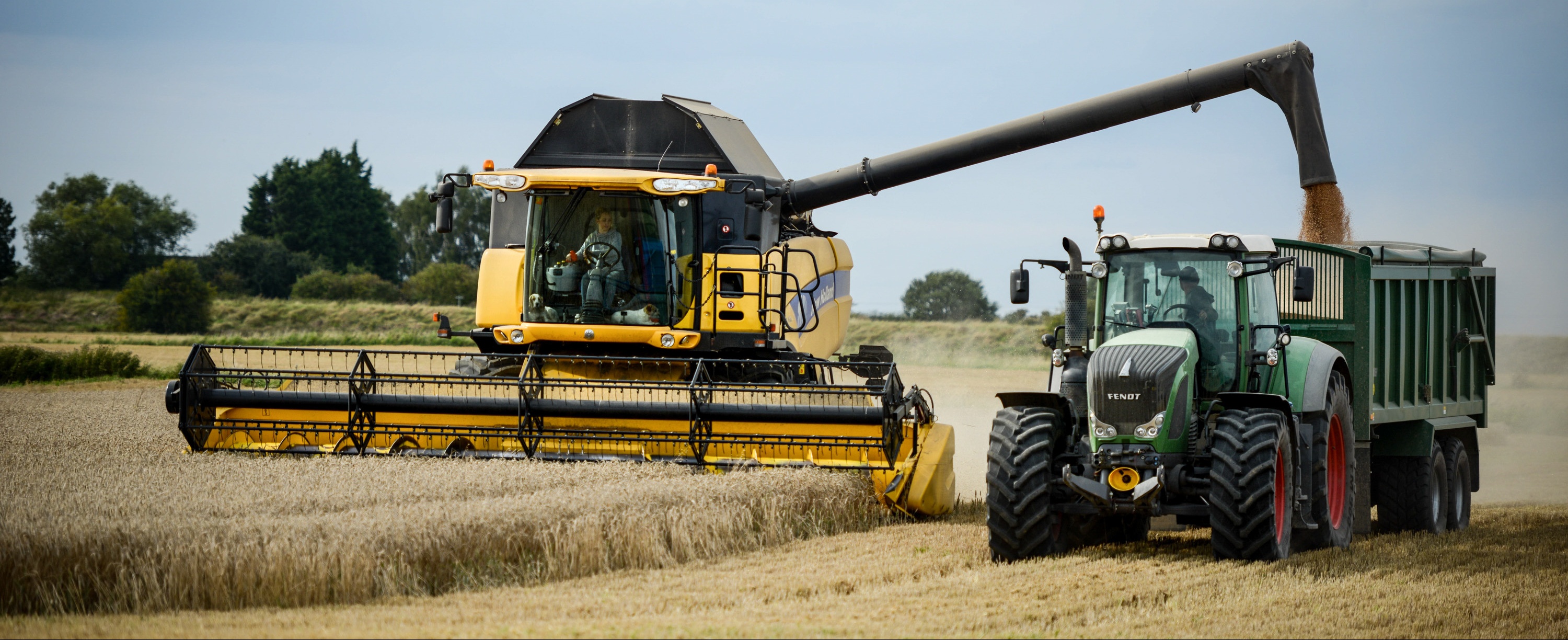 JB Farming & Country Stays