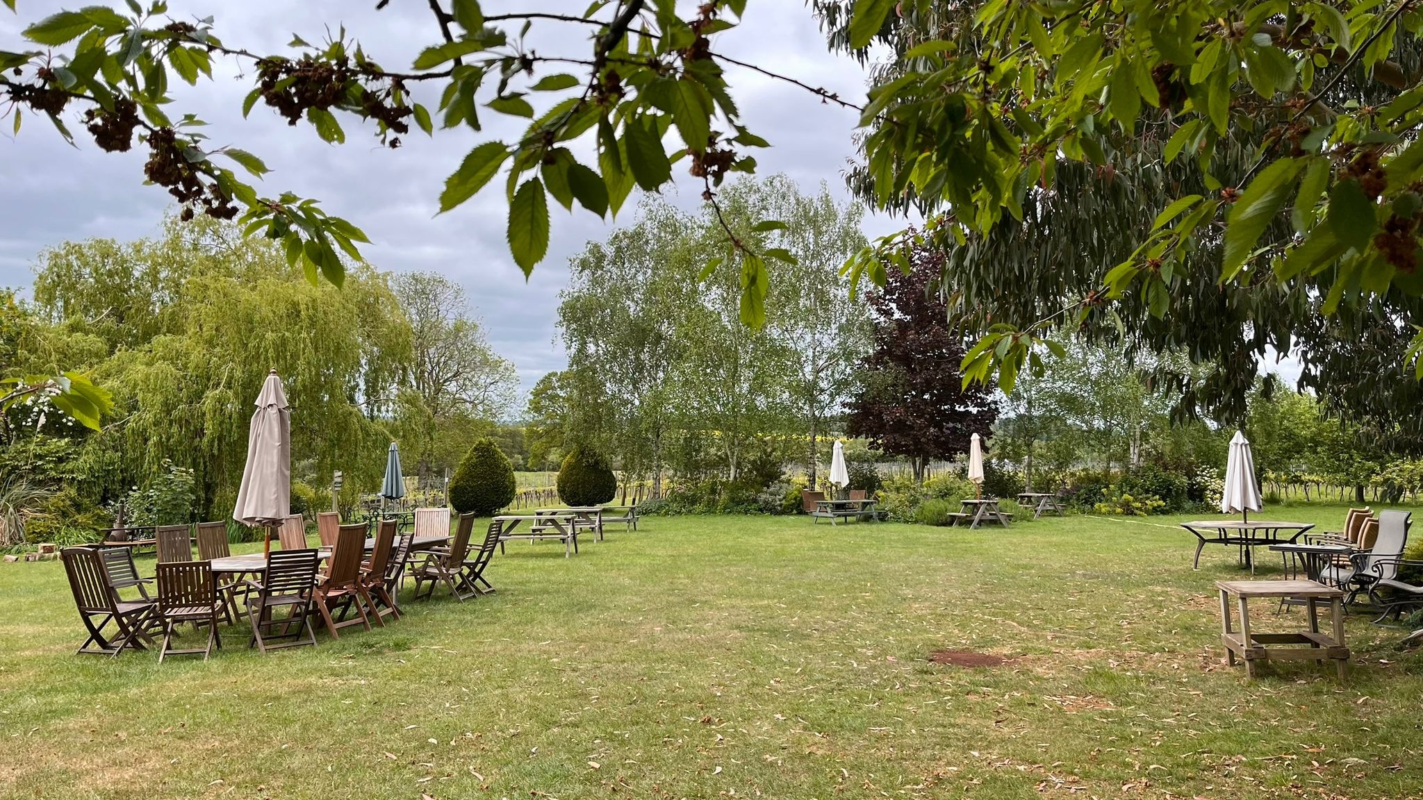 New Lodge Vineyard