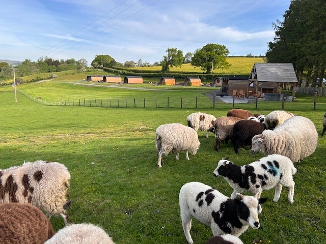 Great House Farm Luxury Pods and Self Catering