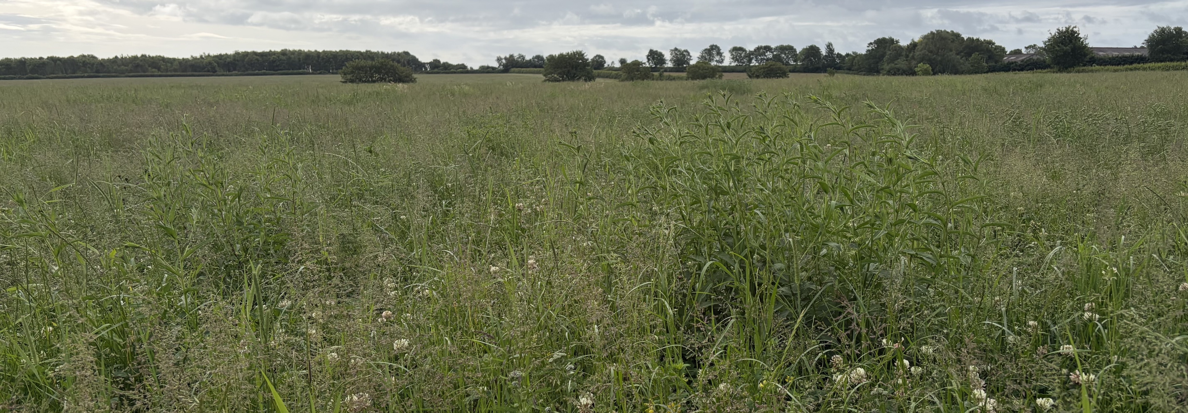 Foremark Park Farm