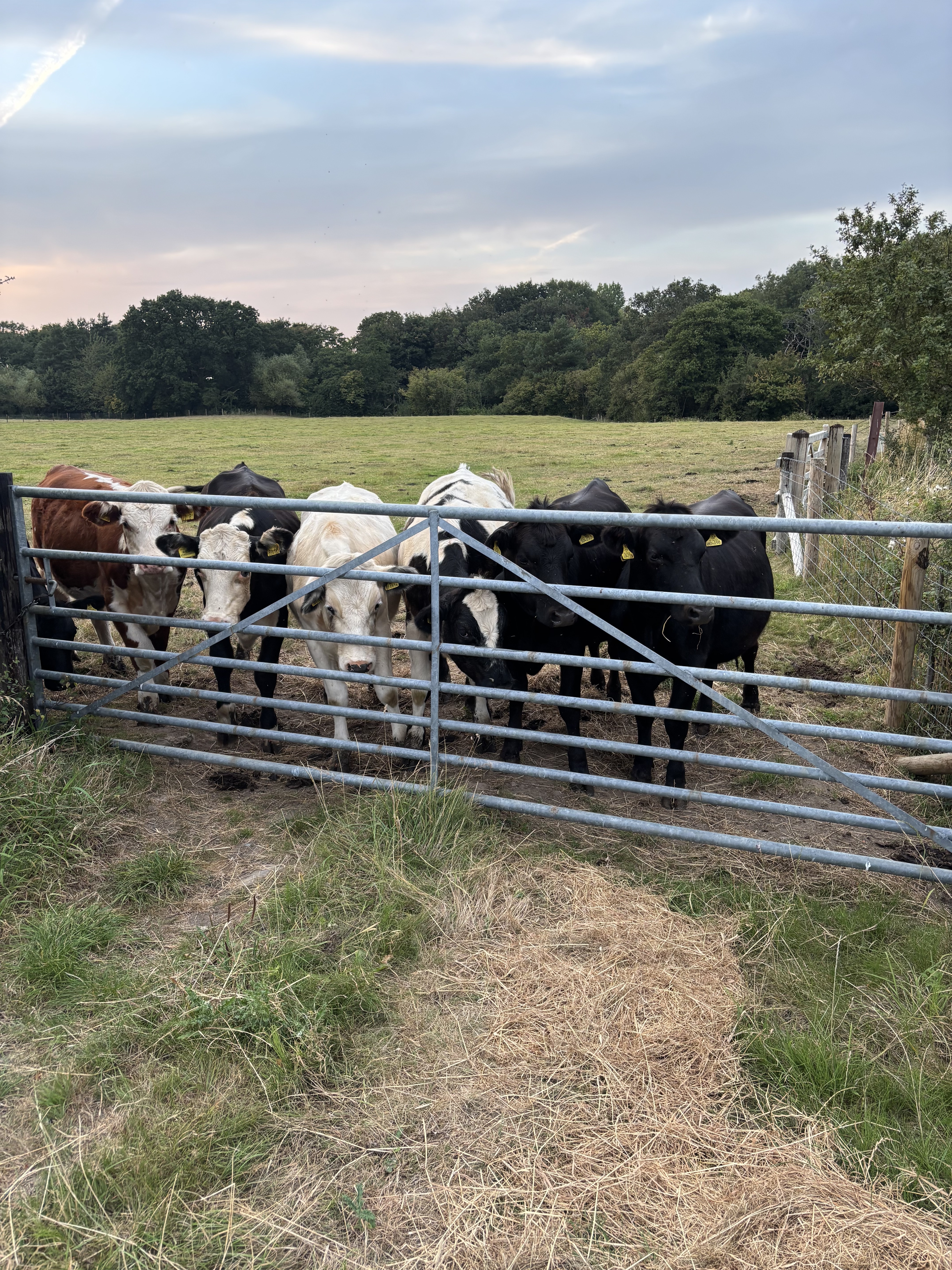 Crookhall Hall Farm