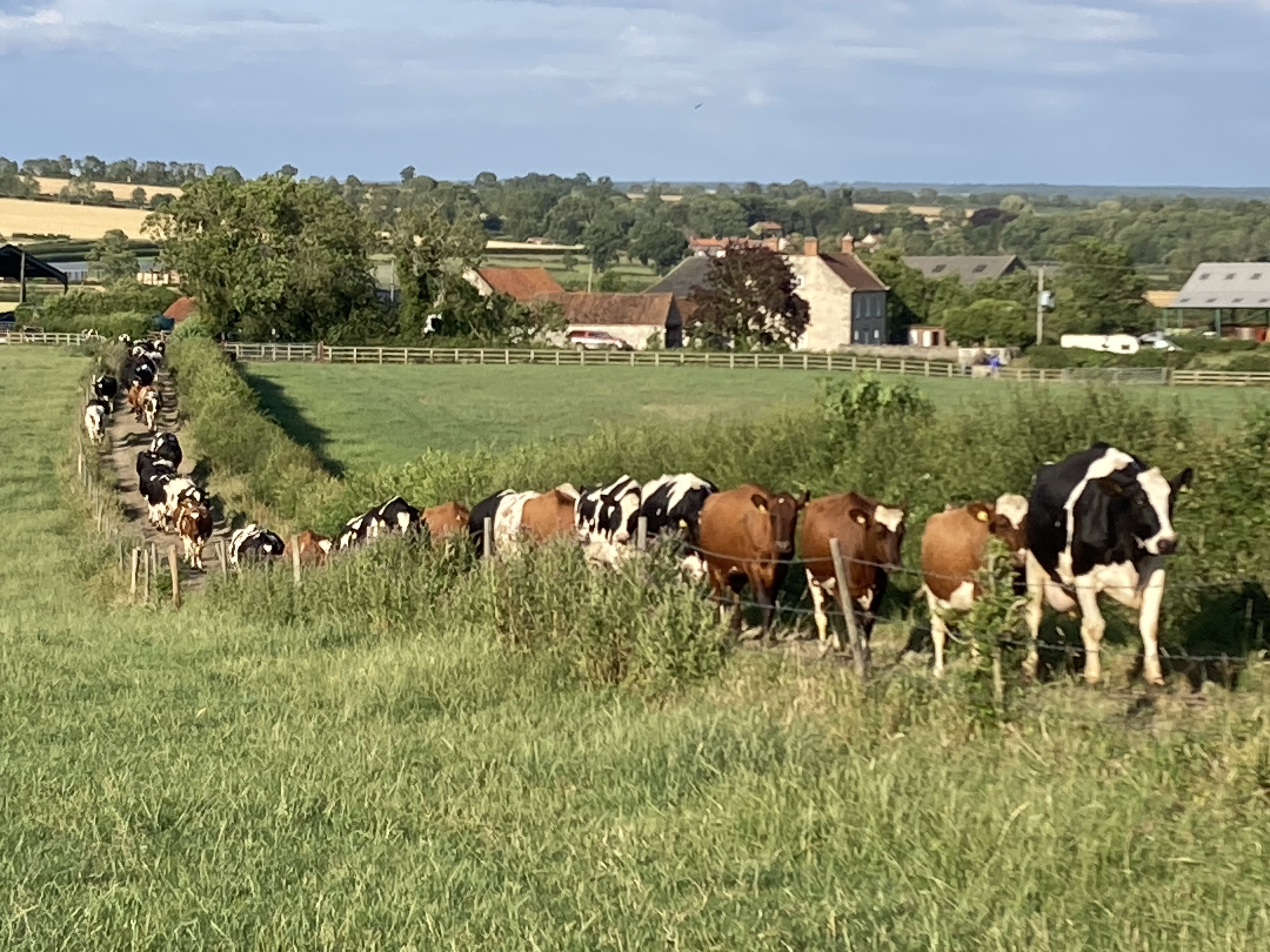 Keld Knowle Farm