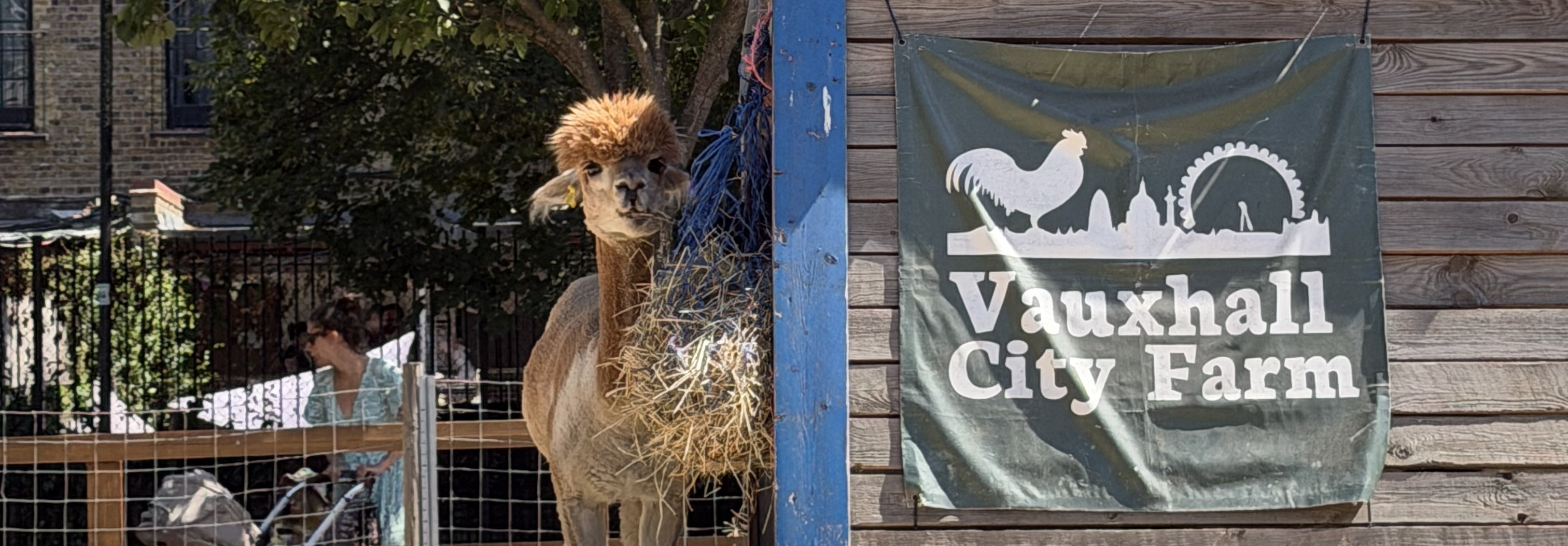 VCF