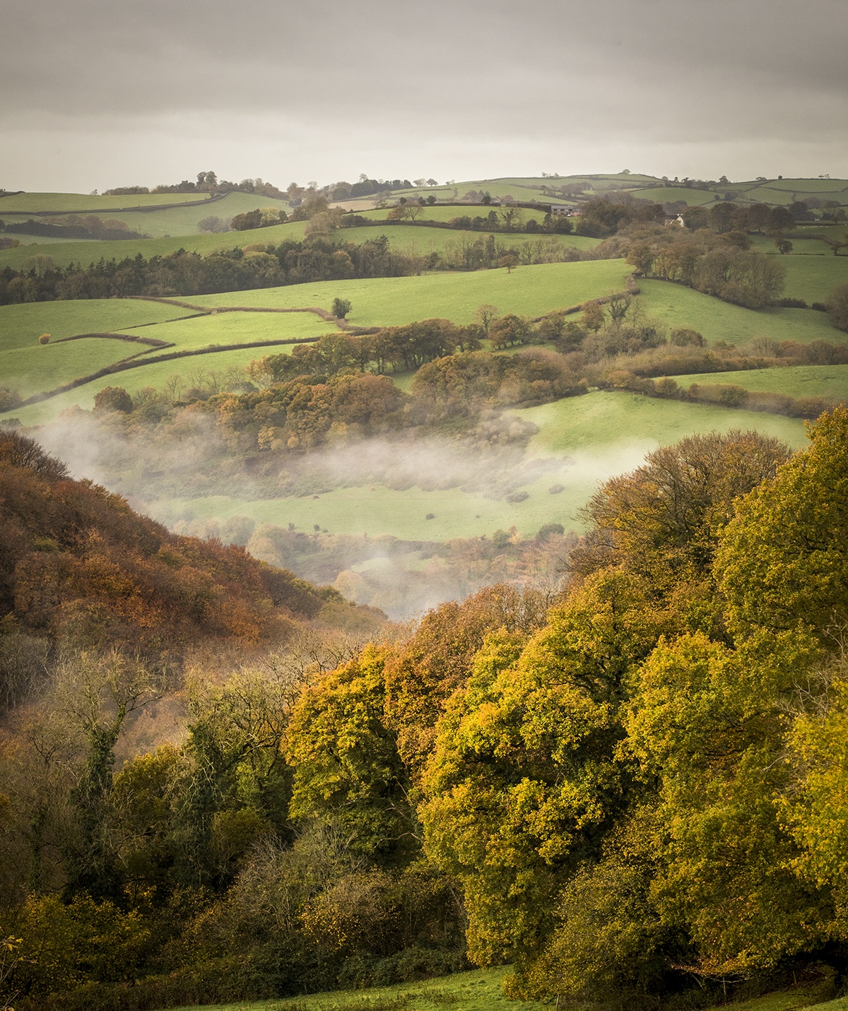 Backswood Farm