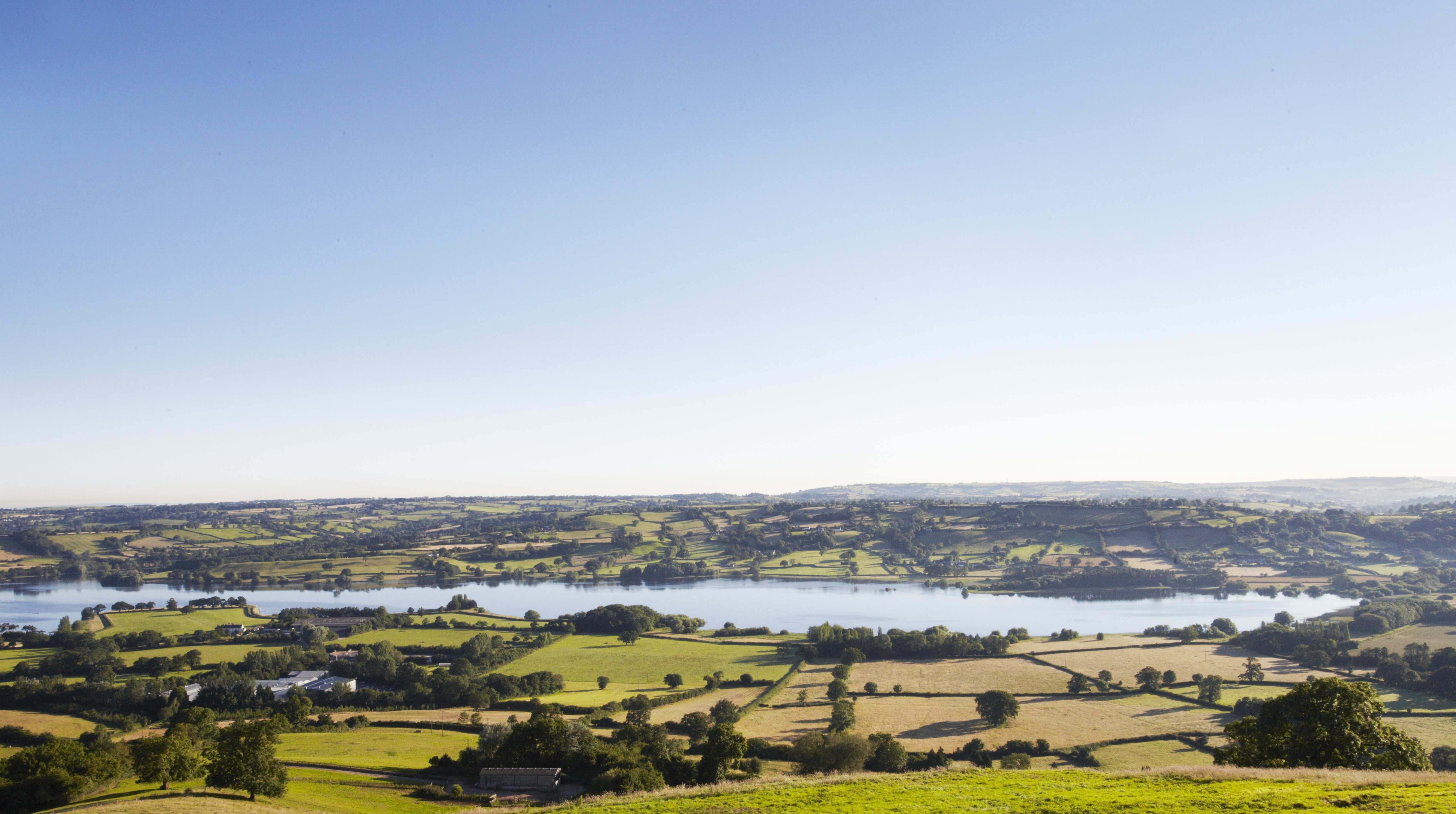 Yeo Valley Organic