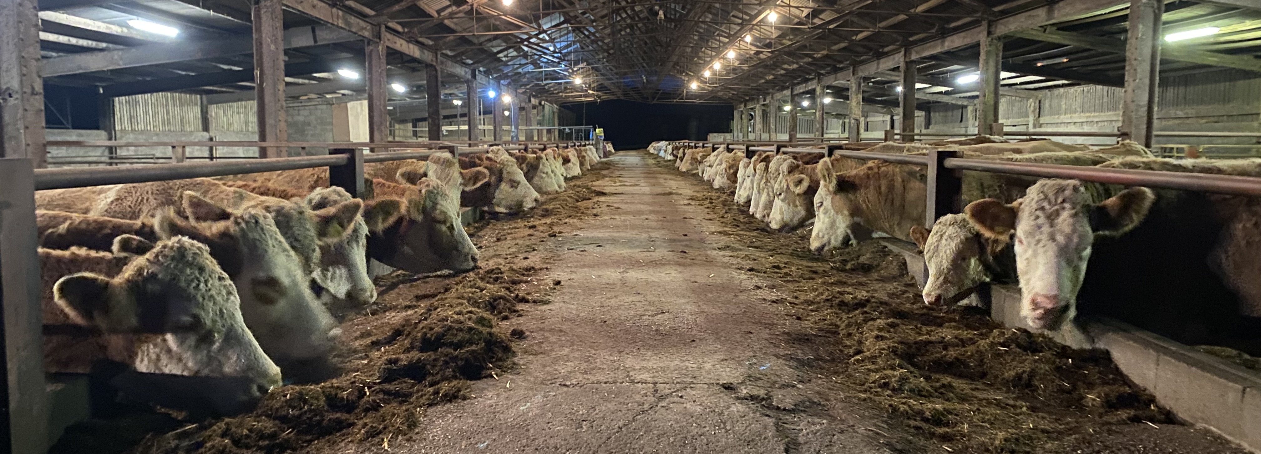 Drumsleed Farm