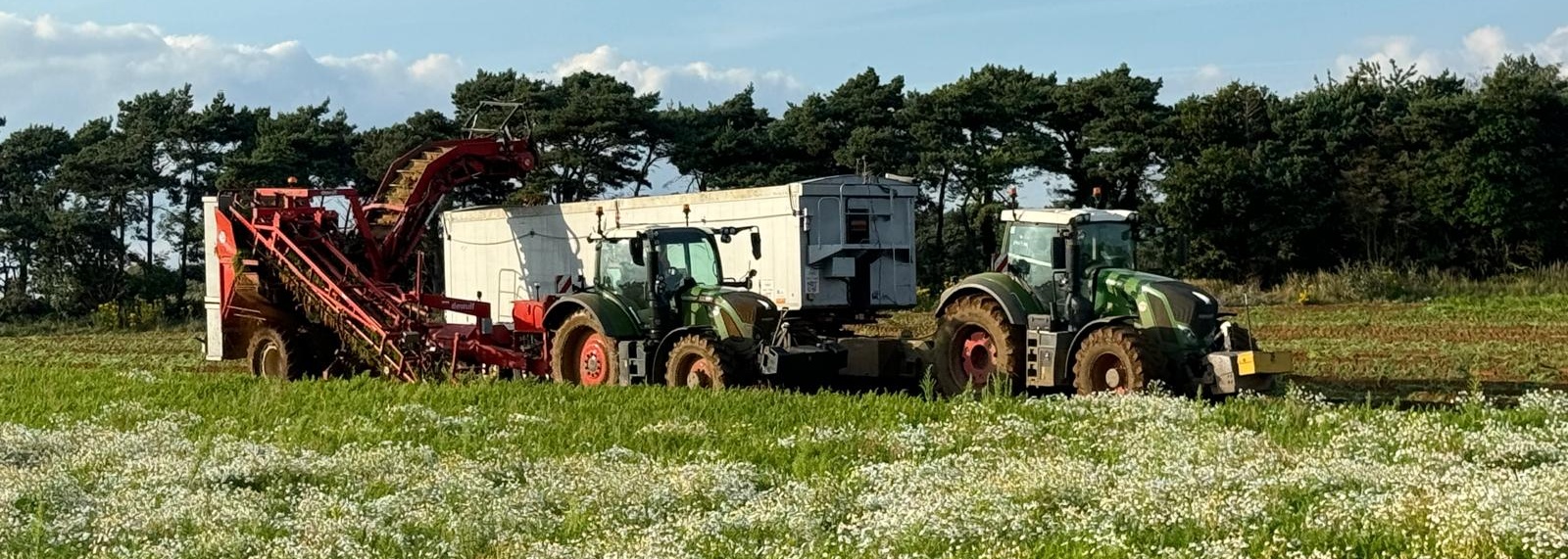 Capel St Andrew Farms