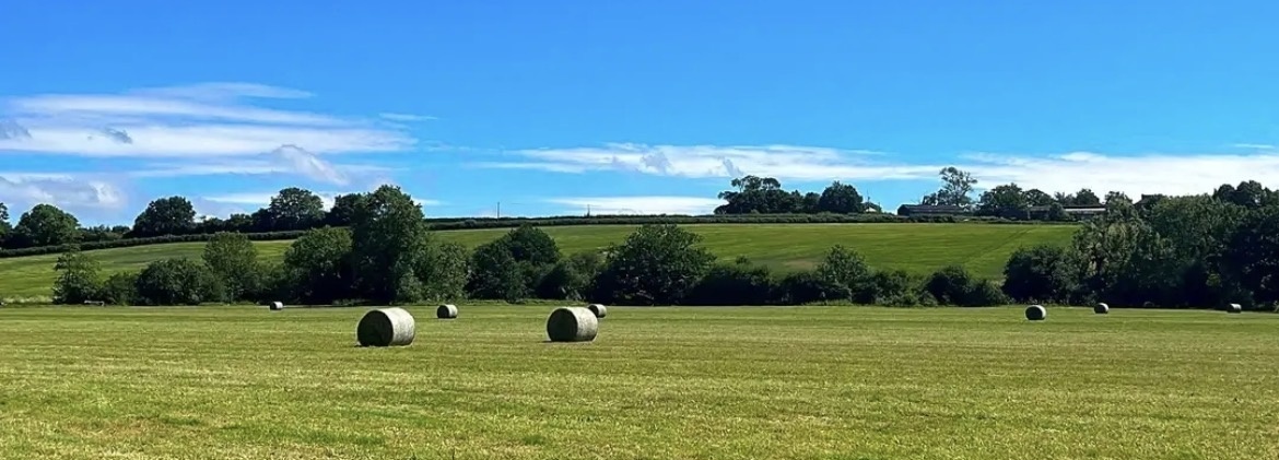 Chested Farm Camping