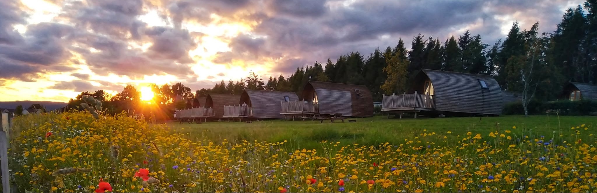 Mains Farm Wigwams