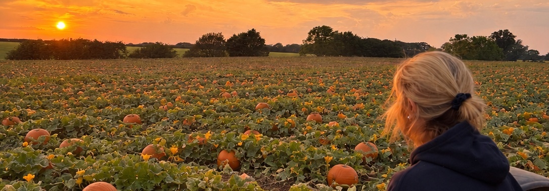 Frowick Hall Farm