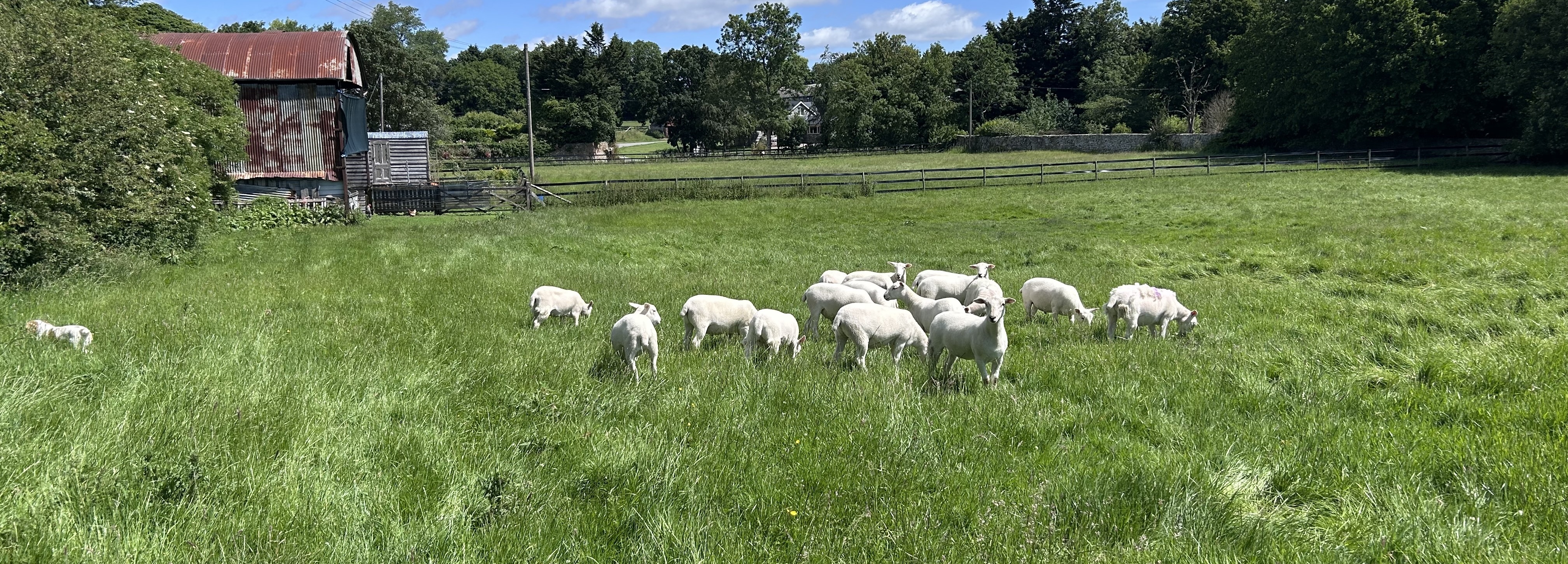 Draycott Farm