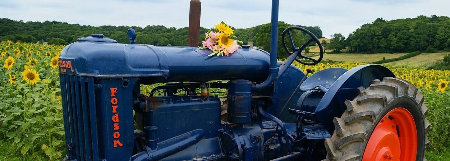 Ashover Family Farm