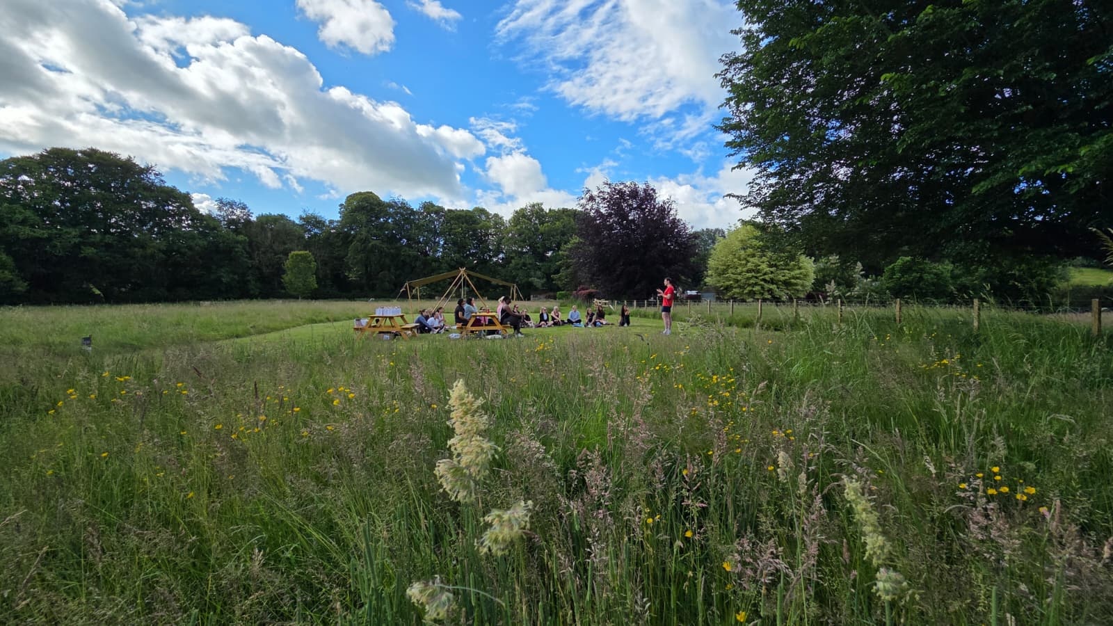 Gather in the Meadow