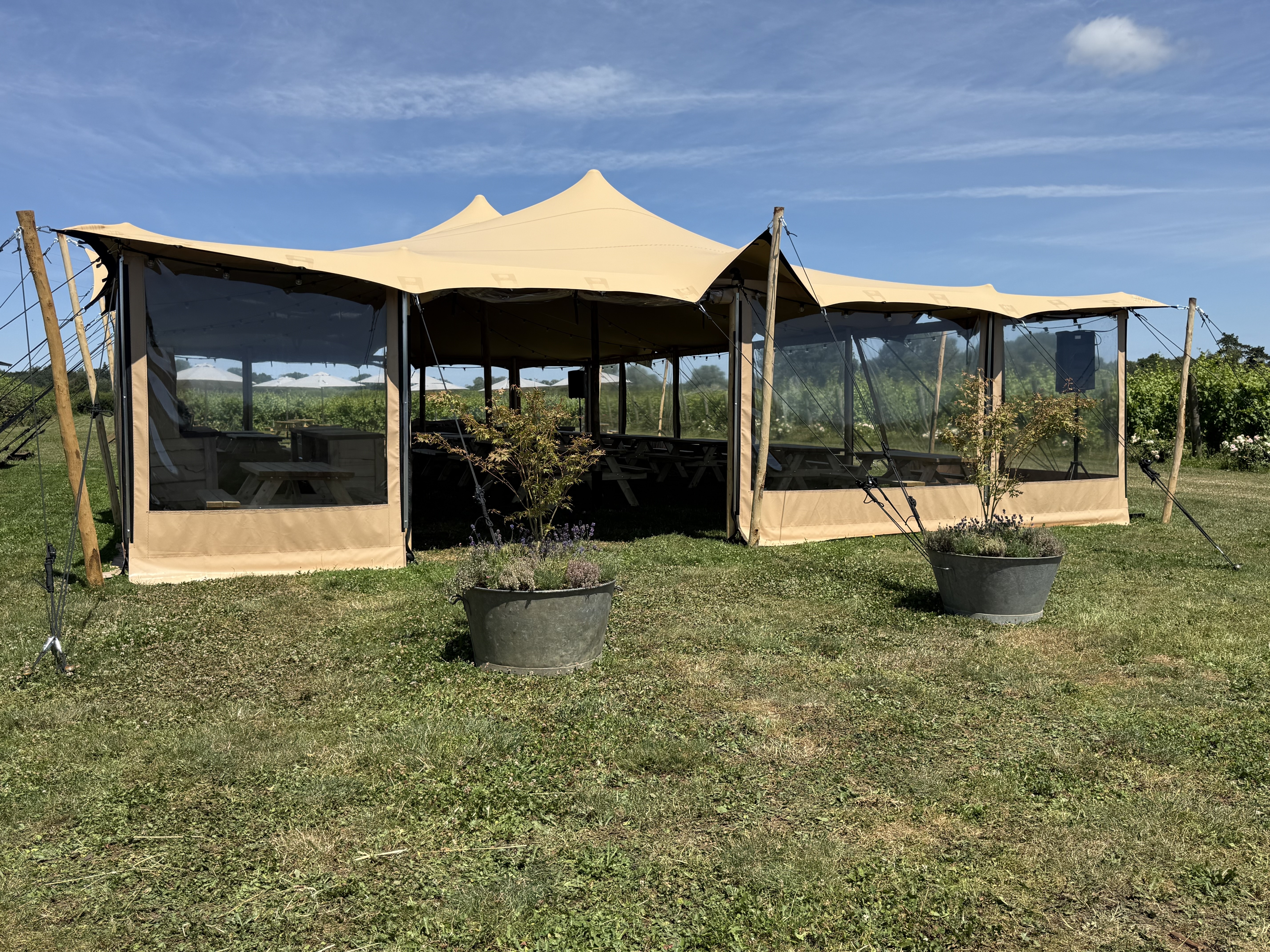 Vines & Stems at Whitehall Vineyard