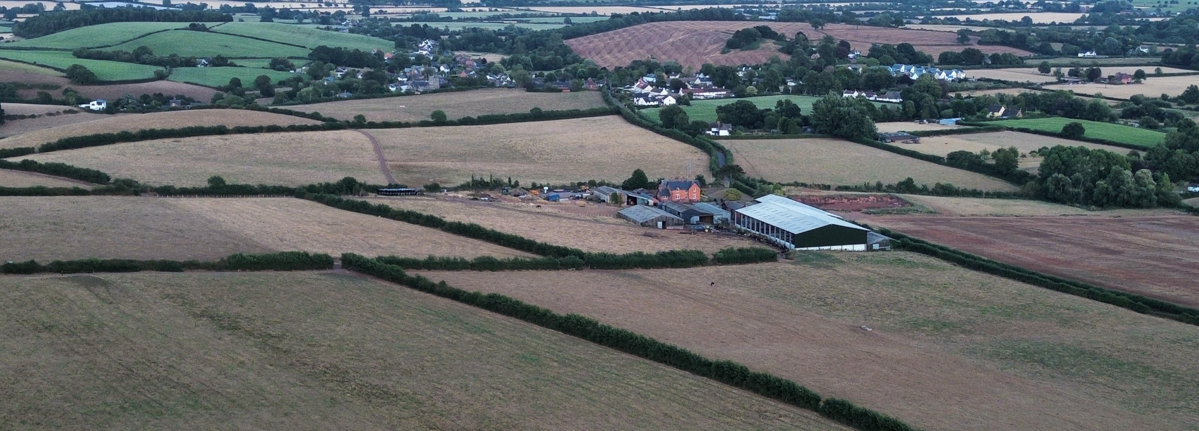 Lynch Farm