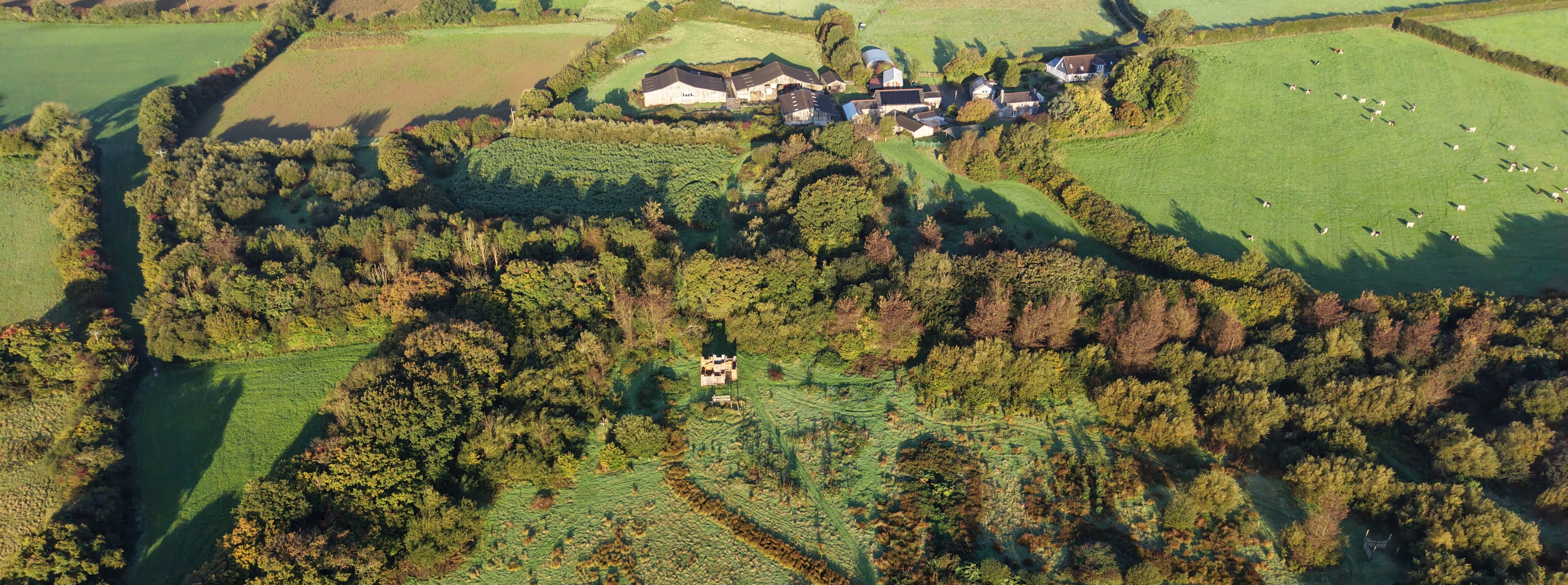 Big Dunk’s Farm