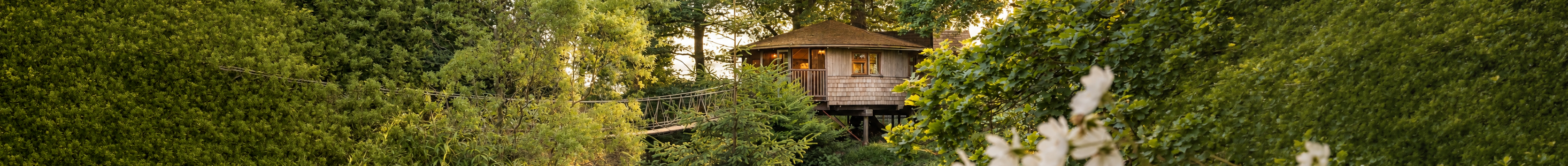 Bensfield Farm Treehouse