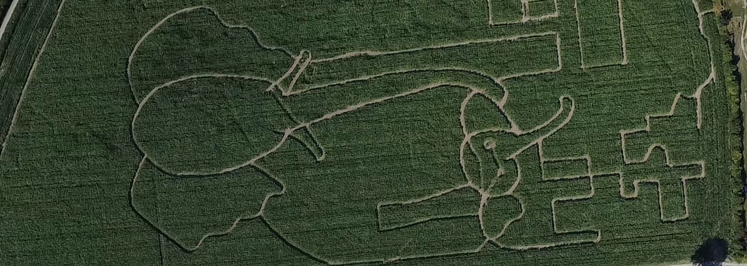 Nash Court MaizeMaze