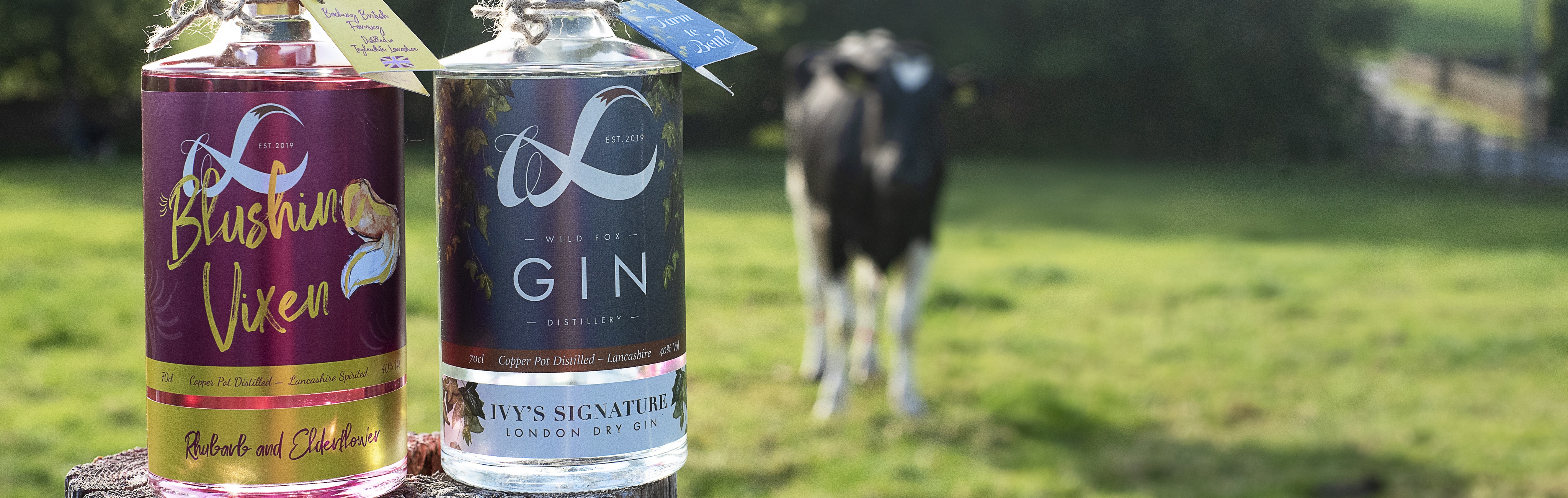 Wild Fox Distillery