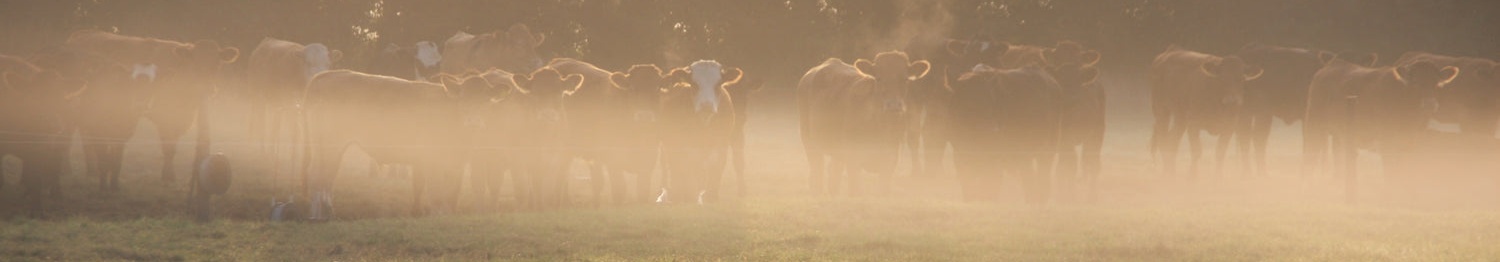 The Slow Farming Company